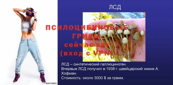 spice Балахна