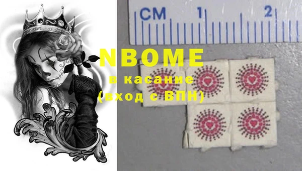 шишки Баксан
