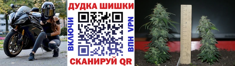 Конопля OG Kush  как найти   Бирюсинск 